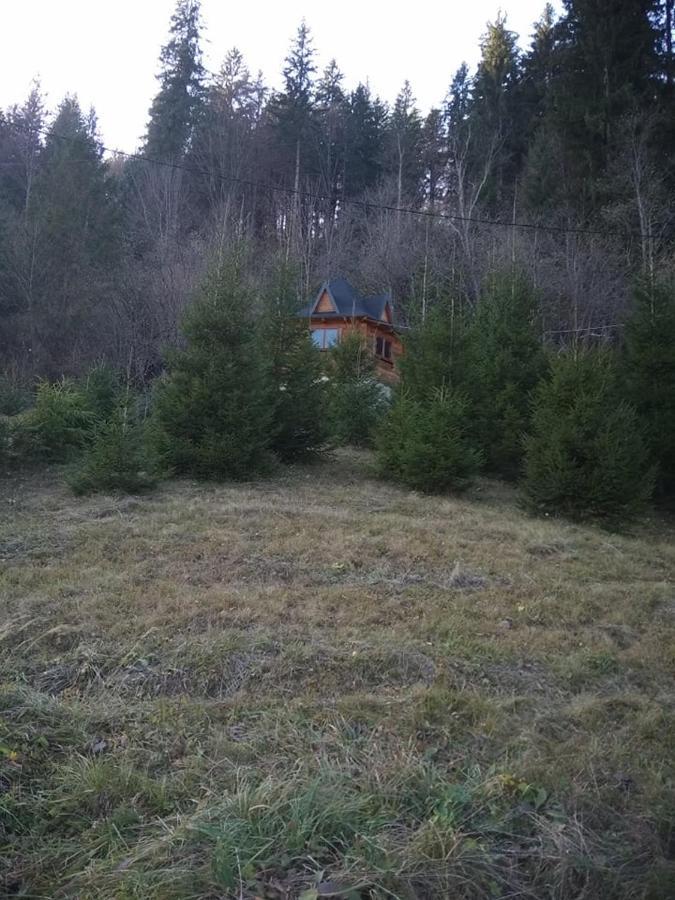Villa На Полумистому Mykulychyn Exterior foto